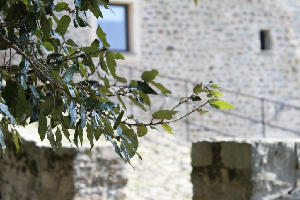 Al Castello Da Annamaria Guest House Beverino Exterior foto